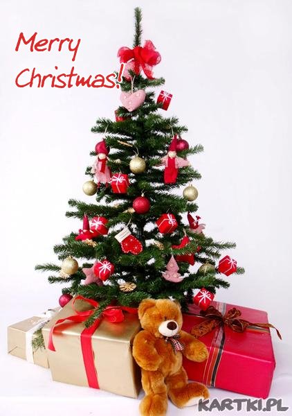 Merry Christmas