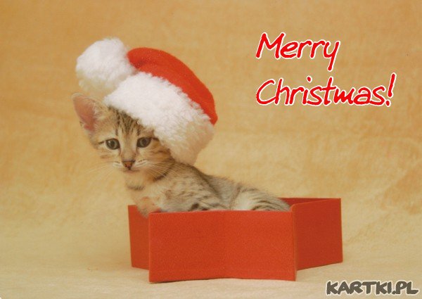 Merry Christmas