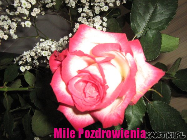 Mile Pozdrowienia.