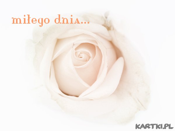 miłego dnia...