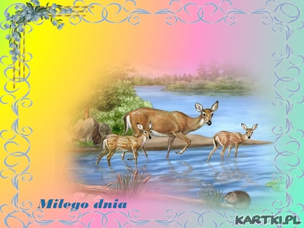 Miłego dnia