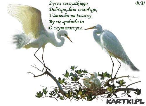 MIŁEGO DNIA.