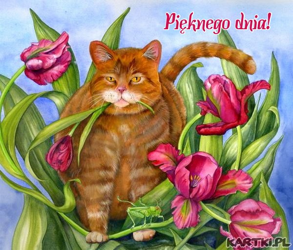 Miłego dnia:)