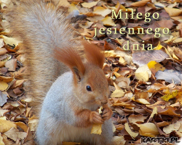 Miłego jesiennego dnia