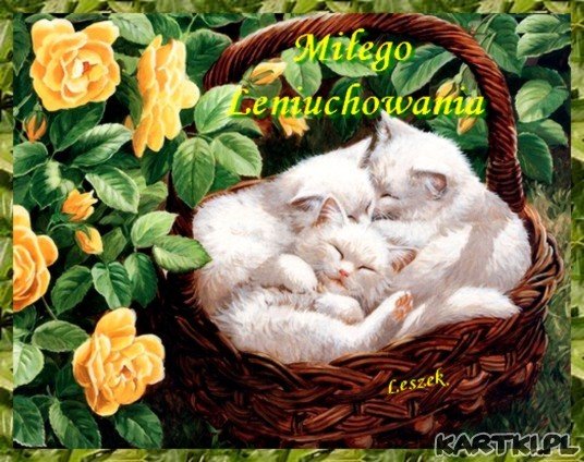 Miłego Leniuchowania :)