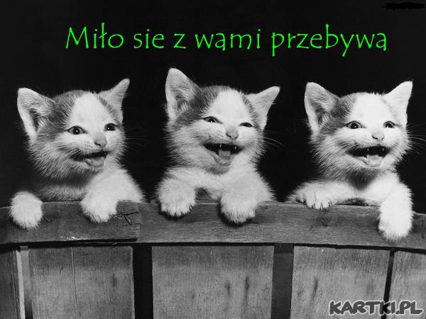 Miło się z wami przebywa