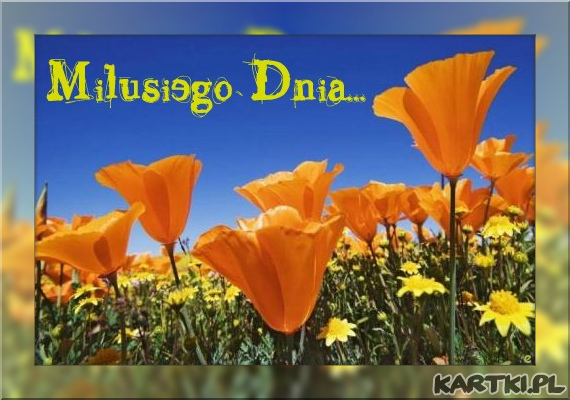 Milusiego dnia...