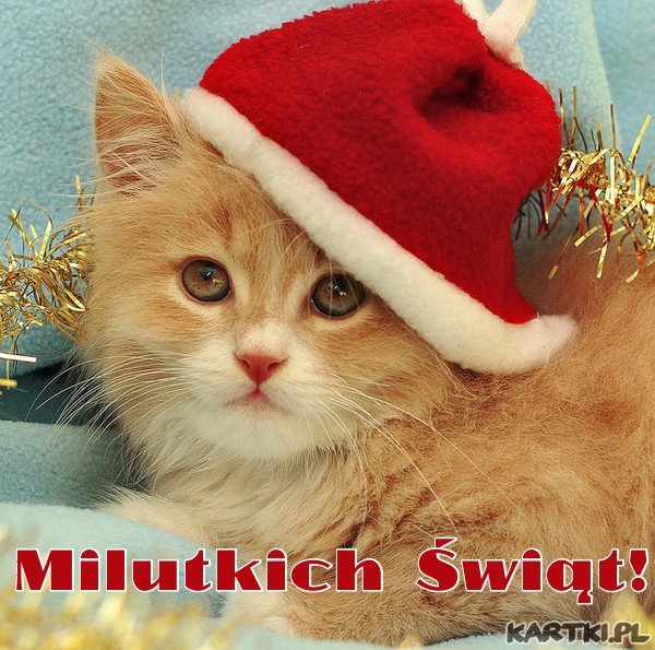 milutkich Świąt!