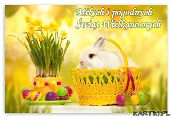 Miłych i pogodnych Świąt!