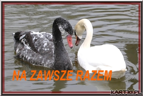 NA ZAWSZE RAZEM