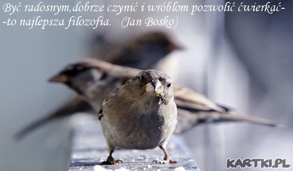 najlepsza filozofia