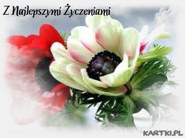 Najlepsze życzenia