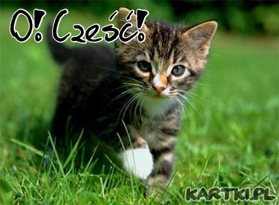 Nie obawiaj się, poznaj świat!