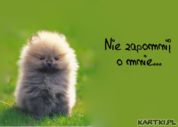 Nie zapomnij o mnie...