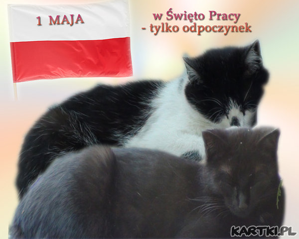 Odpoczynek 1-szo majowy