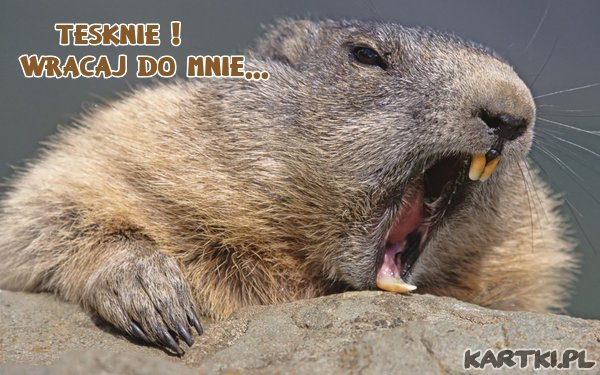 Okropnie tesknie!