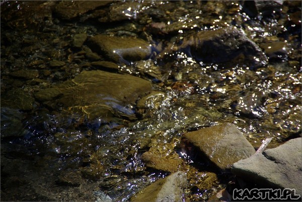 Pamiętam i pozdrawiam...