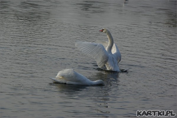 Pamiętam i pozdrawiam...