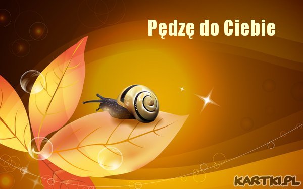 Pędzę do Ciebie