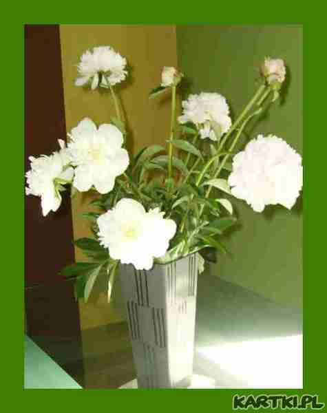 Peonie
