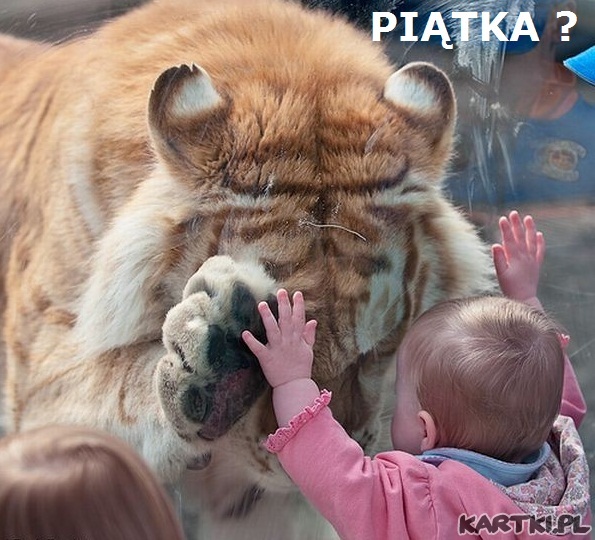 PIĄTKA ?