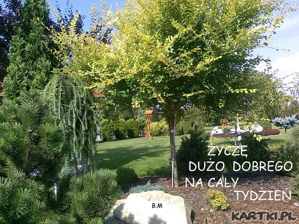 pięknego całego tygodnia.