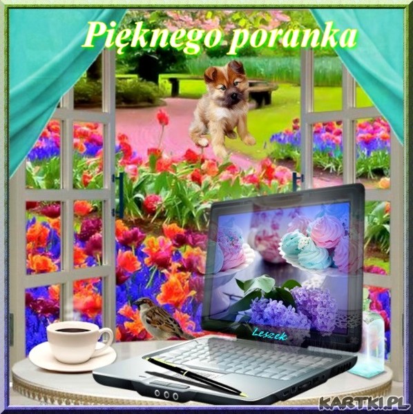 Pięknego poranka :)