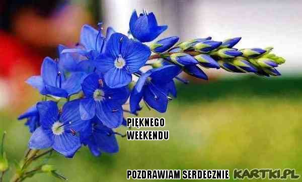 PIĘKNEGO WEEKENDU*