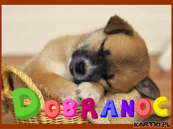 * PIESIO JUŻ ŚPI,ZAŚNIJ I TY *