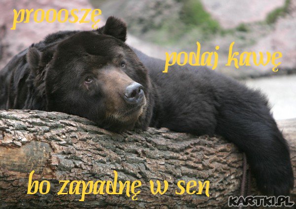 podasz kawę...
