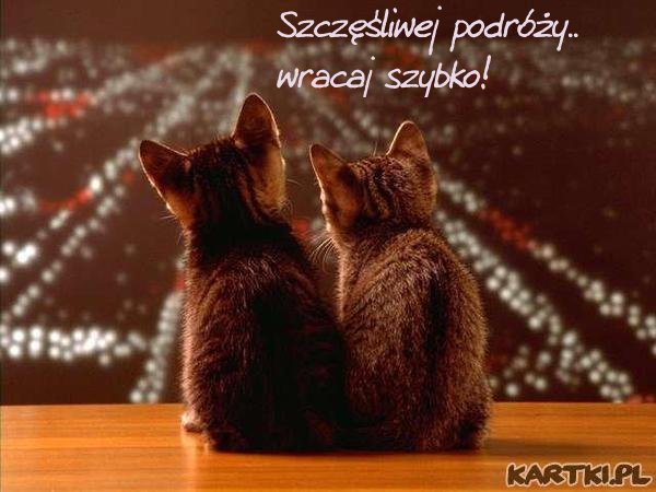 podróż marzeń