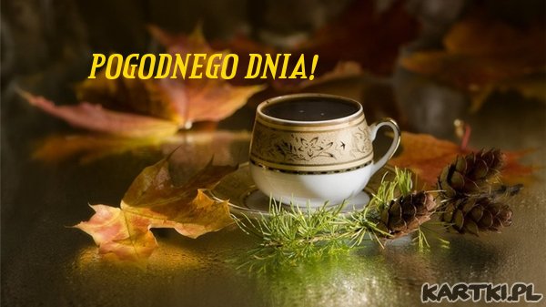 POGODNEGO DNIA!