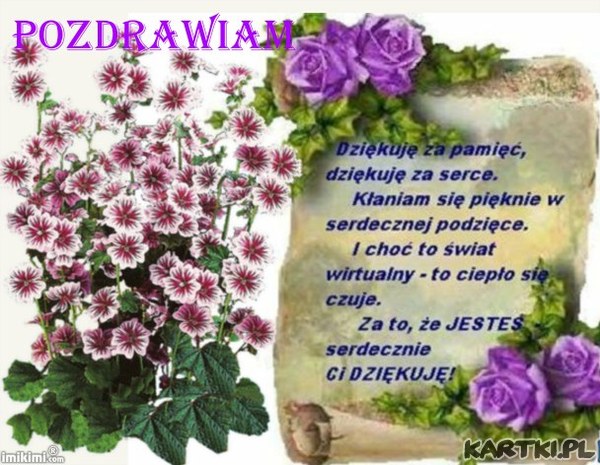 pozd