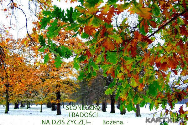POZDRAWIAM.
