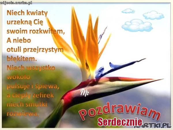 pozdrawiam serdecznie :)