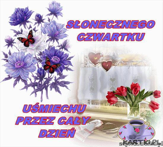 pozdrowienia