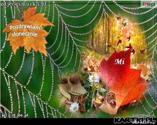 pozdrowienia