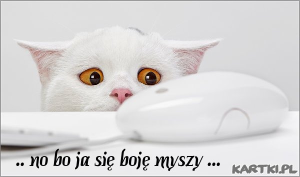 Pozdrowienia