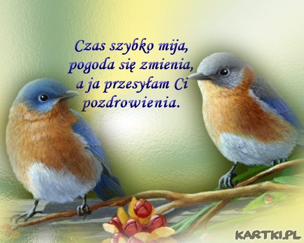 Pozdrowienia