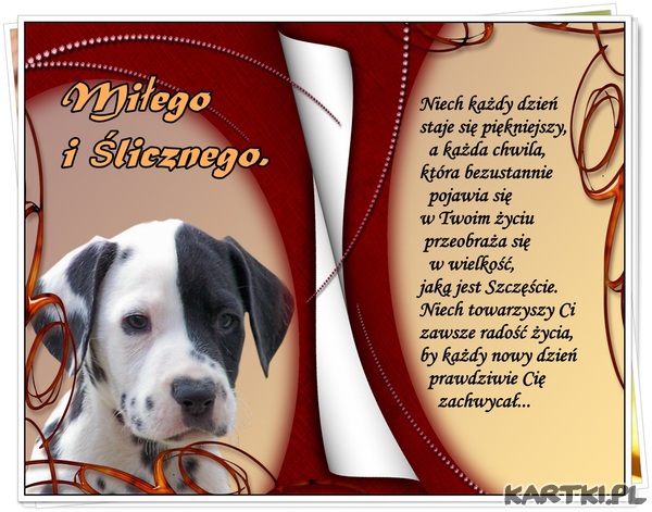 POZDROWIENIA