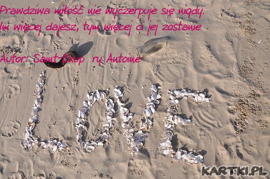 Prawdziwa miłość nie wyczerpuje się nigdy. Im więcej dajesz, tym więcej ci jej zostanie Autor: Saint-Exupéry Antoine 