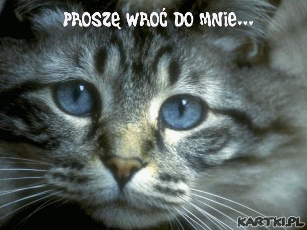 prosze wroc do mnie