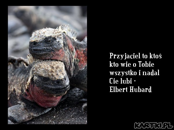 Przyjaciel to ktoś kto wie o Tobie wszystko i nadal Cie lubi - Elbert Hubard 