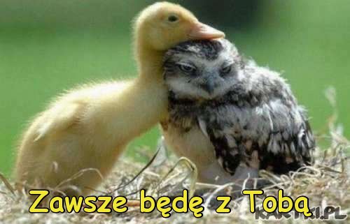 Przyjaźń