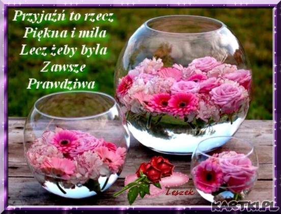 Przyjaźń to ...