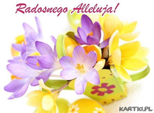 Radosnego Alleluja!