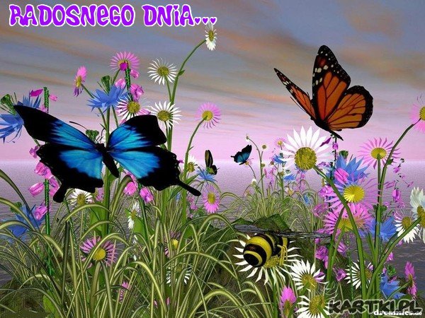 radosnego dnia
