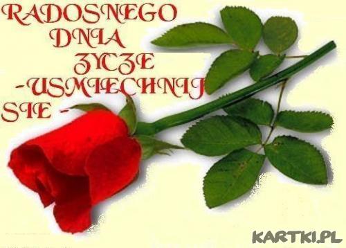 Radosnego dnia