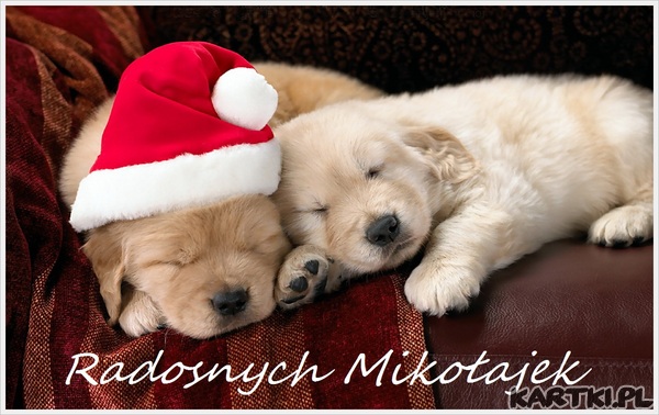 Radosnych Mikołajek