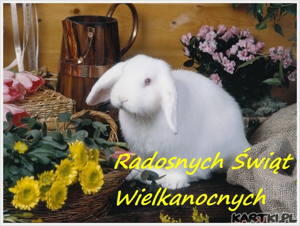 Radosnych świąt Wielkanocnych.